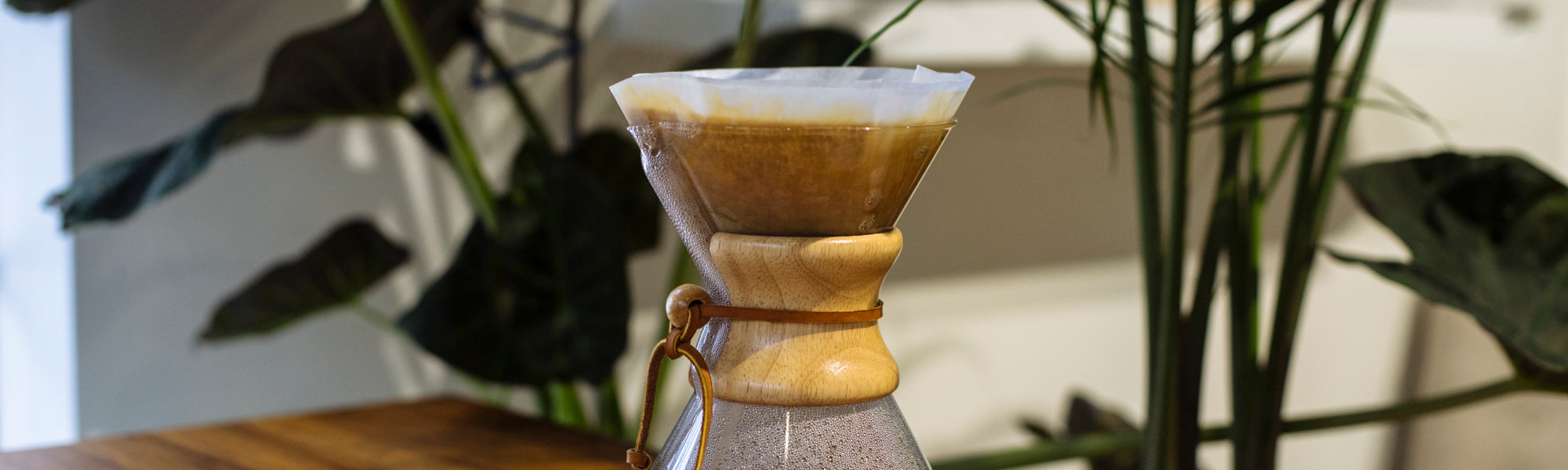 Chemex Filters