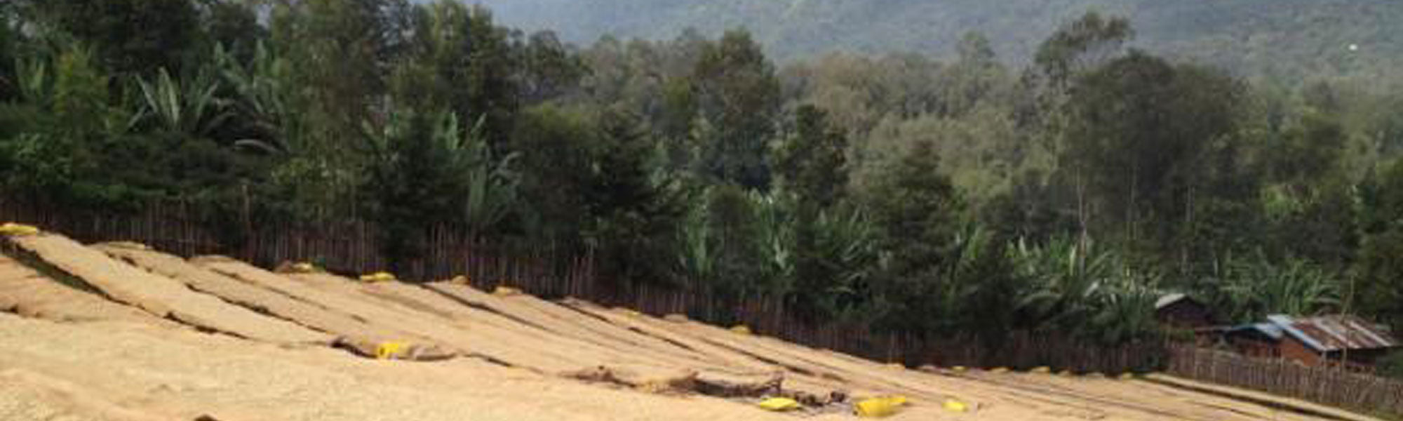 Ethiopia