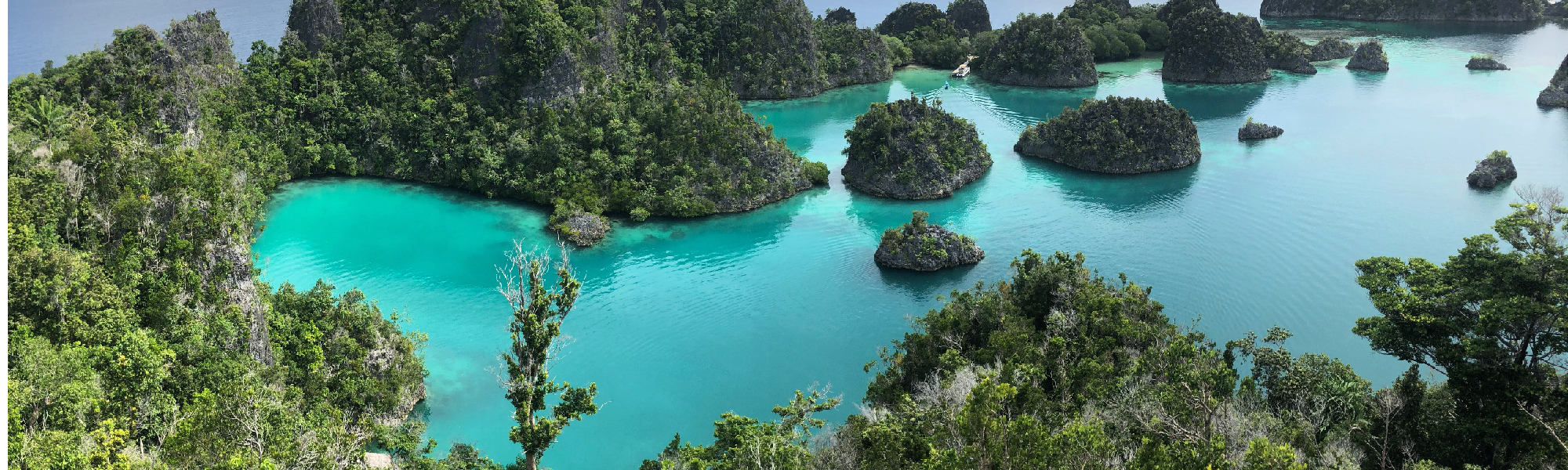 Papua New Guinea