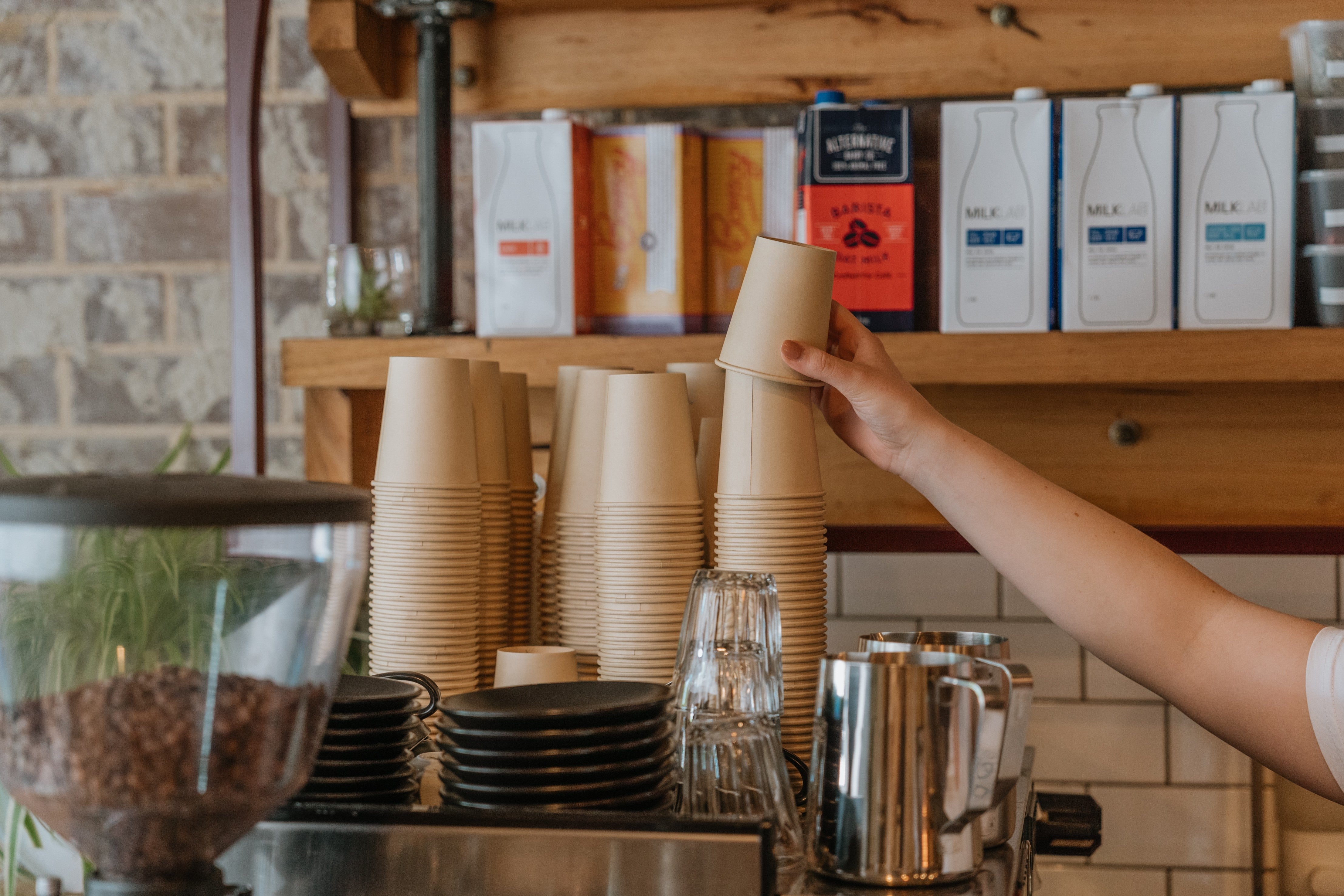Single Use Cups