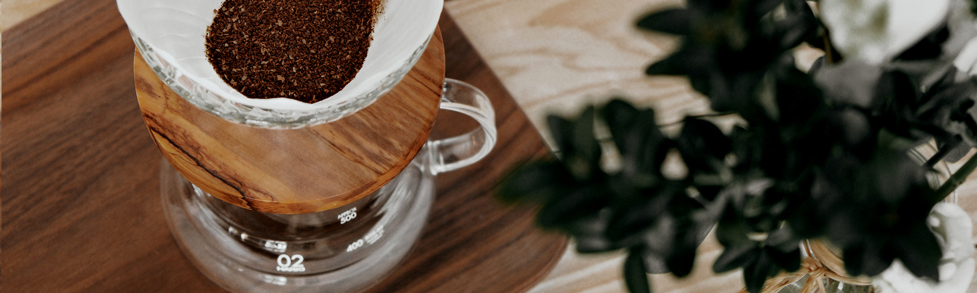 Cone dripper with wooden base on top of Hario V60 Range Server next to ZZ plant