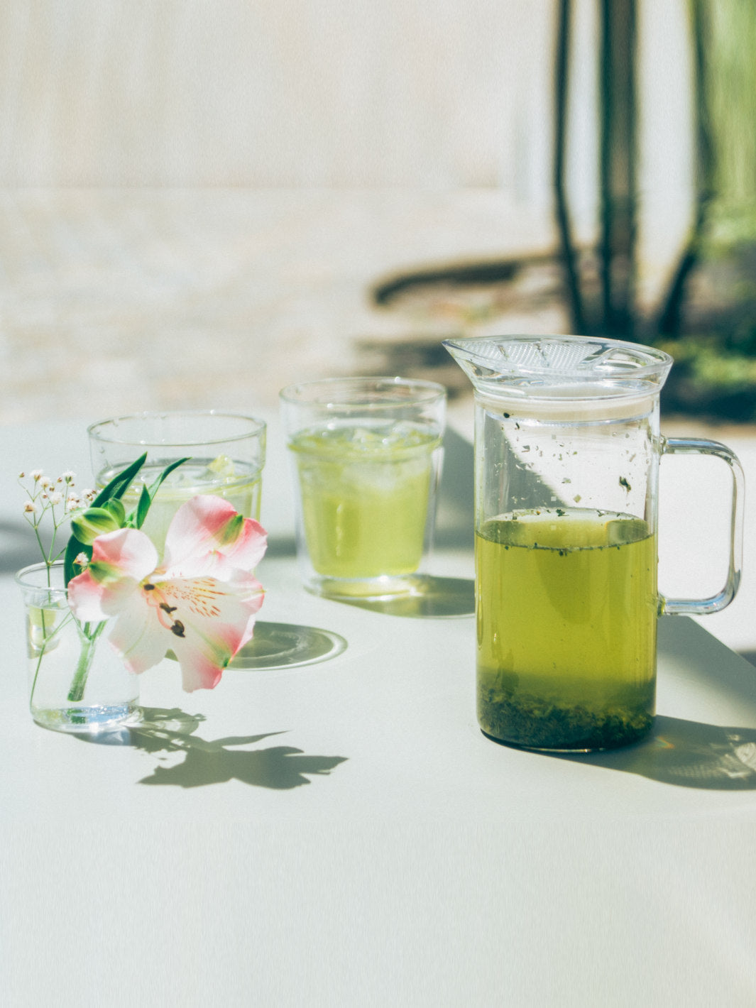 Photo of HARIO SIMPLY Glass Tea Maker ( ) [ HARIO ] [ Tea Equipment ]